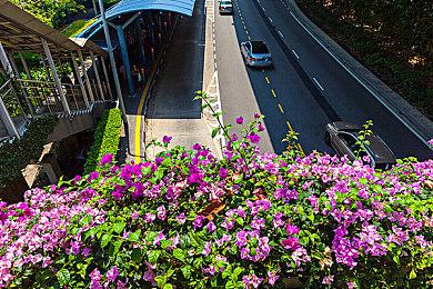  《笠鬼》正式公开 Steam体验版今日开放